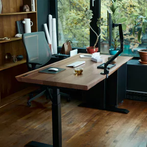 Top 10 Adjustable Standing Desks for a Healthier Work Setup