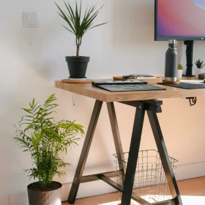 Top 10 Adjustable Standing Desks for a Healthier Work Setup